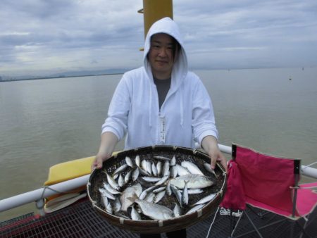 尼崎市立魚つり公園 釣果