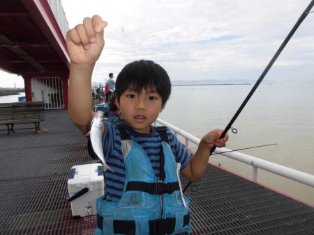 尼崎市立魚つり公園 釣果