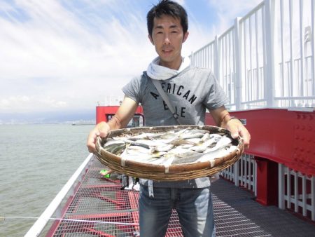 尼崎市立魚つり公園 釣果