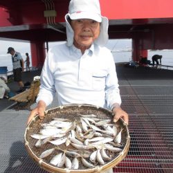 尼崎市立魚つり公園 釣果