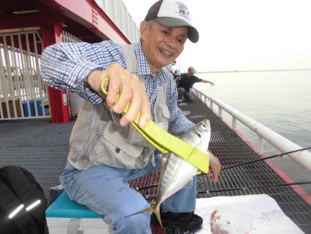 尼崎市立魚つり公園 釣果