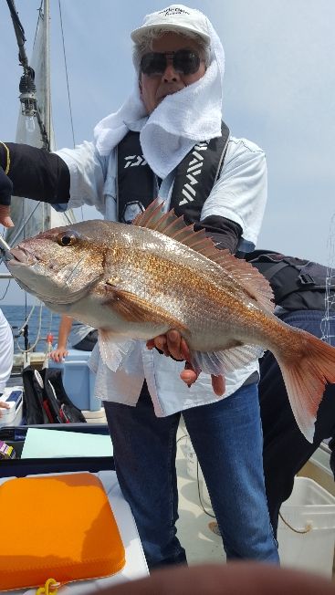 海峰 釣果