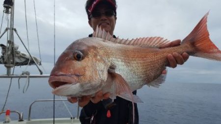 海峰 釣果