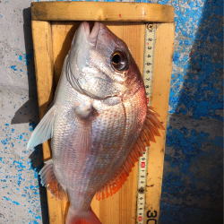 幸吉丸 釣果