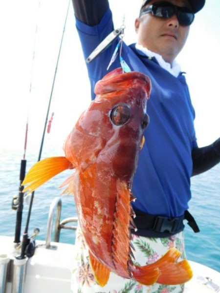 海晴丸 釣果