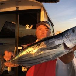 ミタチ丸 釣果