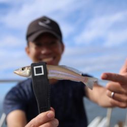 武蔵丸 釣果