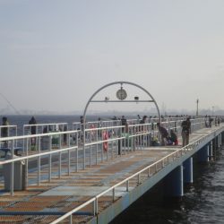 オリジナルメーカー海づり公園(市原市海づり施設) 釣果