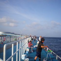 オリジナルメーカー海づり公園(市原市海づり施設) 釣果