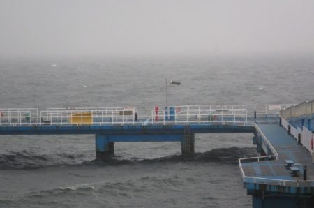 オリジナルメーカー海づり公園(市原市海づり施設) 釣果