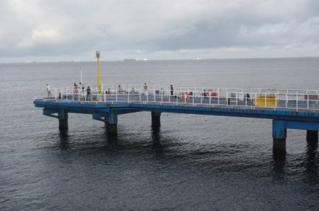 オリジナルメーカー海づり公園(市原市海づり施設) 釣果