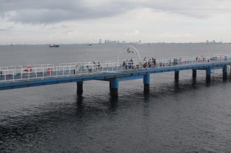 オリジナルメーカー海づり公園(市原市海づり施設) 釣果