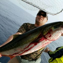 つれ鷹丸 釣果