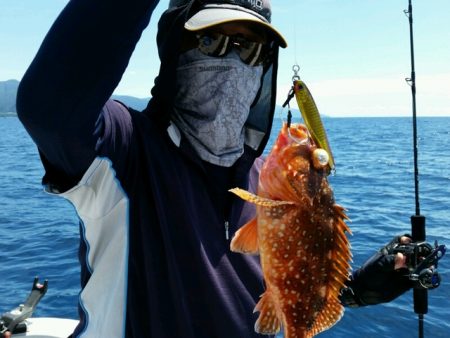 つれ鷹丸 釣果