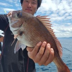 海峰 釣果