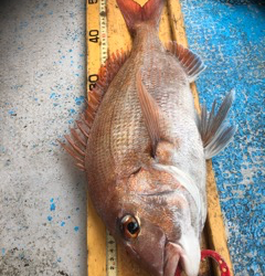 幸吉丸 釣果