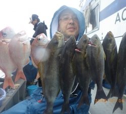 石川丸 釣果