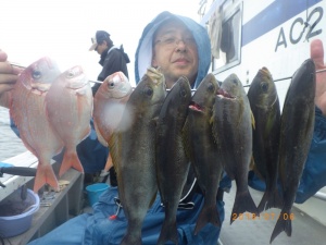 石川丸 釣果