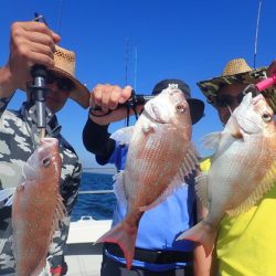 美里丸 釣果