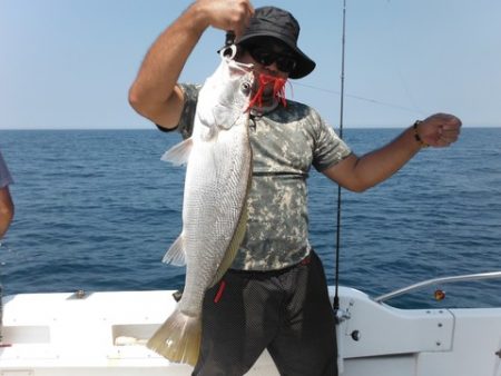 開進丸 釣果