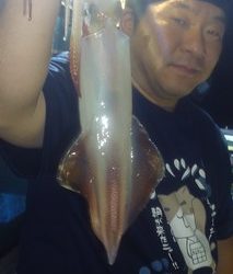 松福丸 釣果