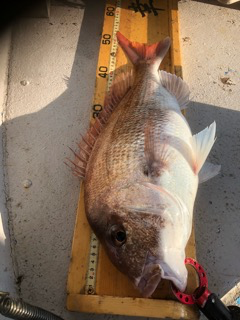 幸吉丸 釣果