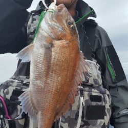 海峰 釣果