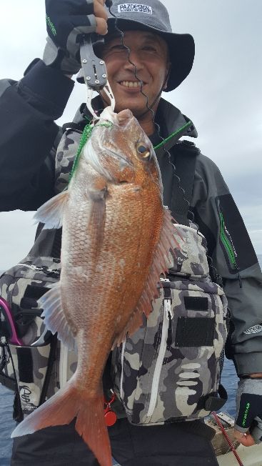 海峰 釣果