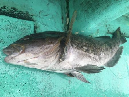 広進丸 釣果