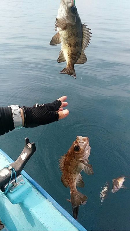 宝昌丸 釣果