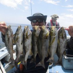 まとばや 釣果