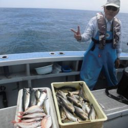 まとばや 釣果