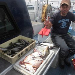 まとばや 釣果