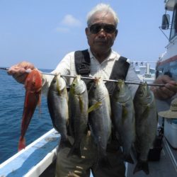 まとばや 釣果