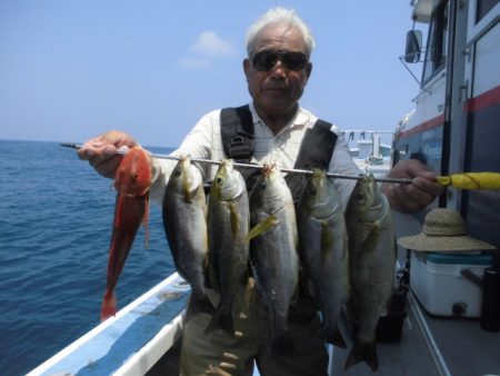 まとばや 釣果