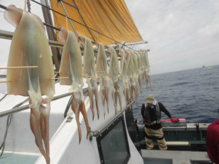 大進丸（愛知） 釣果