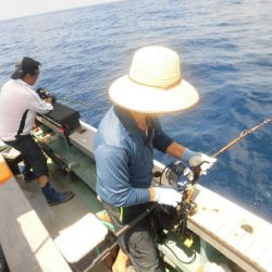 大進丸（愛知） 釣果