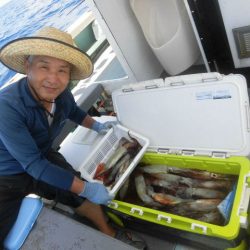 大進丸（愛知） 釣果