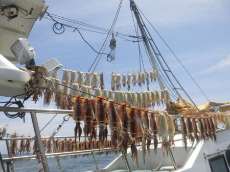 大進丸（愛知） 釣果