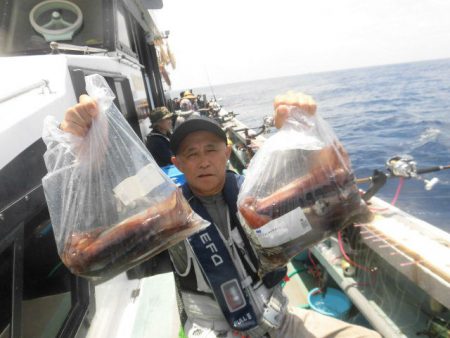 大進丸（愛知） 釣果