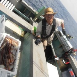 大進丸（愛知） 釣果