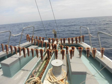 大進丸（愛知） 釣果