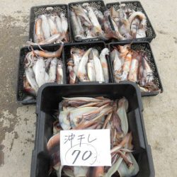 大進丸（愛知） 釣果