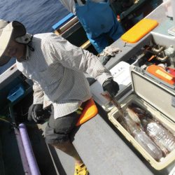 大進丸（愛知） 釣果