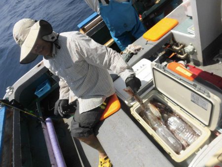 大進丸（愛知） 釣果