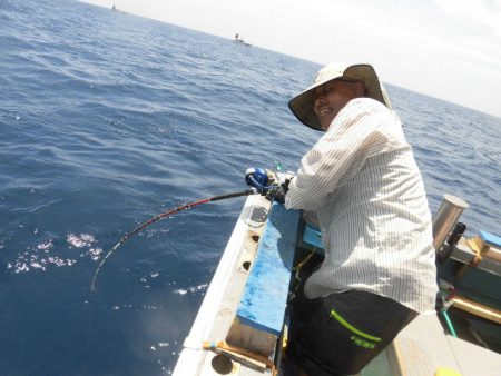 大進丸（愛知） 釣果