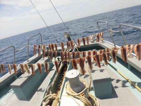 大進丸（愛知） 釣果