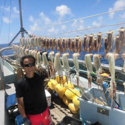 大進丸（愛知） 釣果