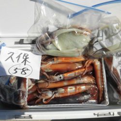 大進丸（愛知） 釣果