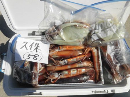 大進丸（愛知） 釣果